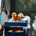 72160 LEGO Pokémon Arcanine